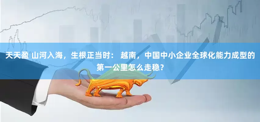 天天盈 山河入海，生根正当时： 越南，中国中小企业全球化能力成型的第一公里怎么走稳？
